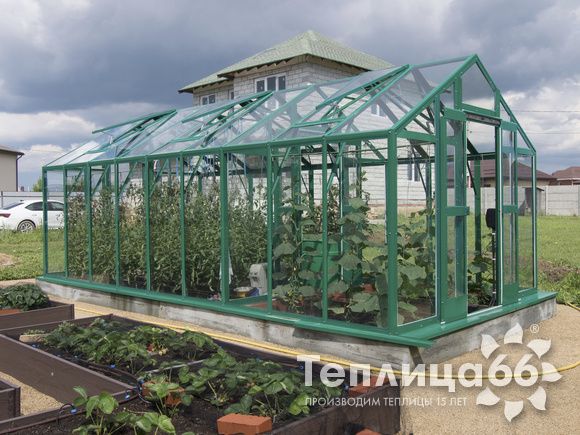 Теплица Рада Гарденикс 3 С под стекло, 3х6 метров, зеленый
